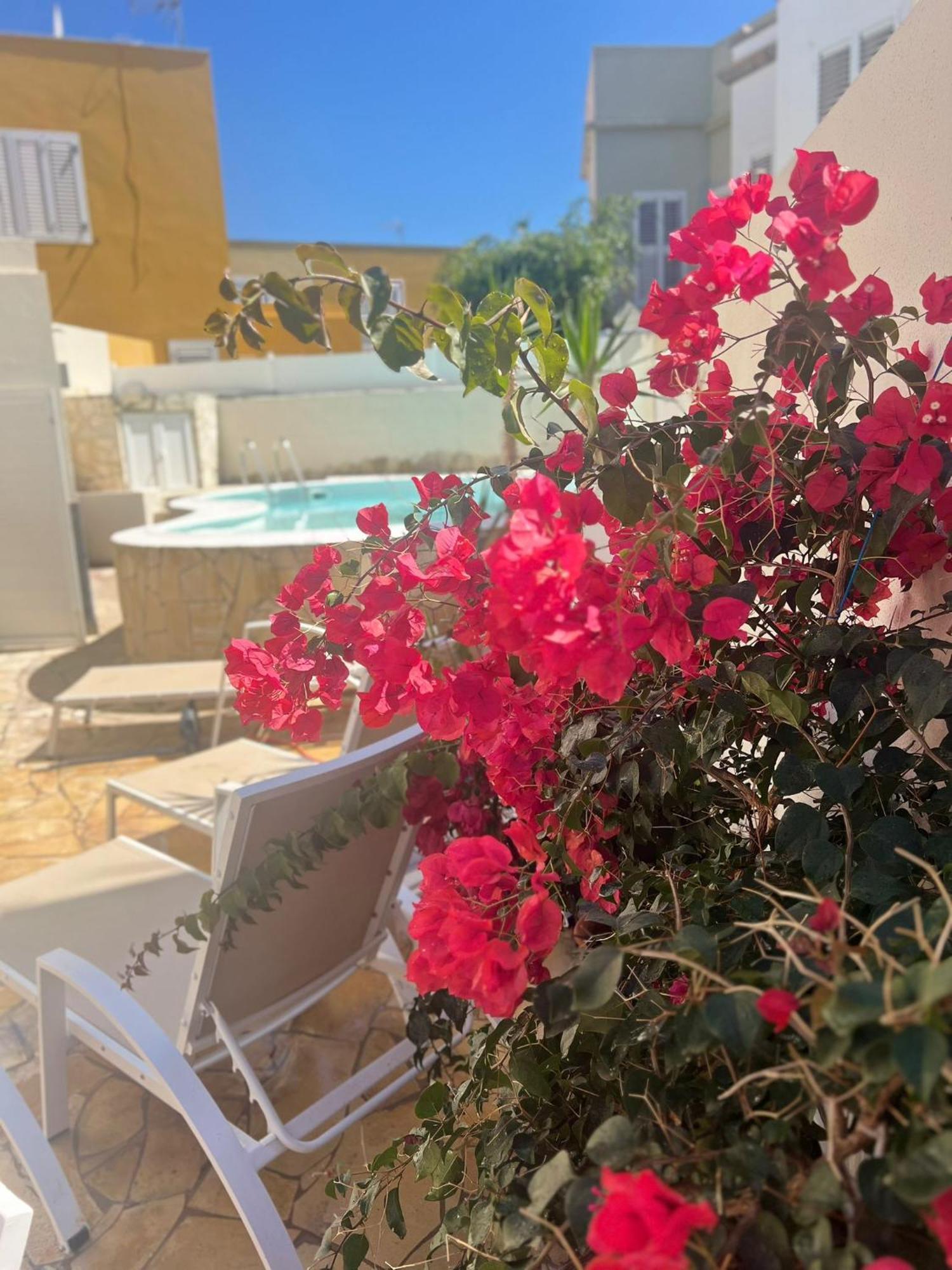 Hidden Paradise Apartament *